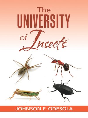 cover image of The University of Insects